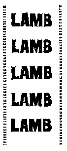 Lamb2